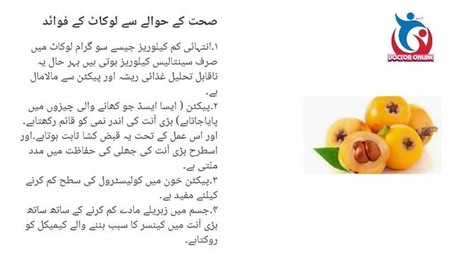 ERIOBOTRYA JAPONICA FACTS/لوکاٹ عجیب فوائد смотреть онлайн