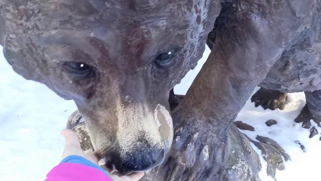 Предложение от Сергея. Тур выходного дня/ смотреть онлайн