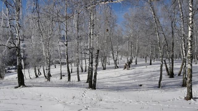 Красота в февральский день смотреть онлайн