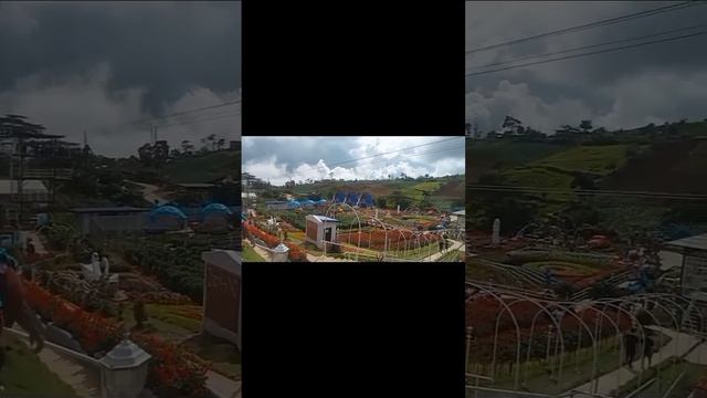 Tara manindot laagan 3, 2, 1, 0 Blue Garden resort ⛵🌊 #subscribe #trendingshorts #travel смотреть онлайн