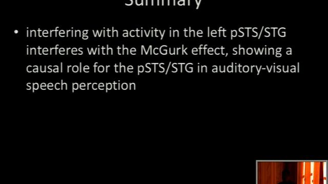 Michael Beauchamp. Models and mechanisms of multisensory speech perception смотреть онлайн