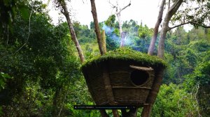 СТРОИМ КРУТОЙ ДОМ НА ДЕРЕВЕ