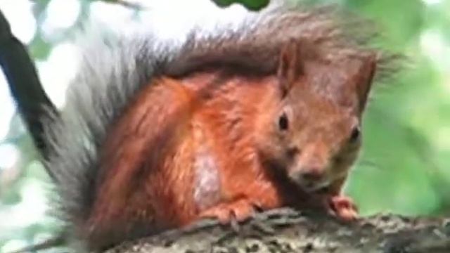 Изображение 123 смотреть онлайн