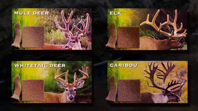Nature’s Fiber™ Introduction | Antler Velvet | Habitats | Taxidermy Supply | Scenes-n-Nature смотреть онлайн