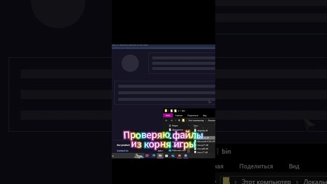 Проверка игры Сталкер: Тень Чернобыля на вирусы