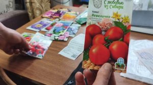 Съездила в посёлок ,слазила в подвал.