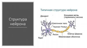 Аналитика_технологических_данных_лекция_2_3