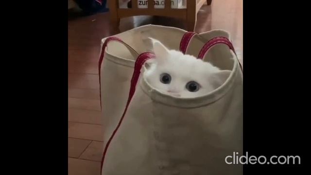 Зло не дремлет))) смотреть онлайн