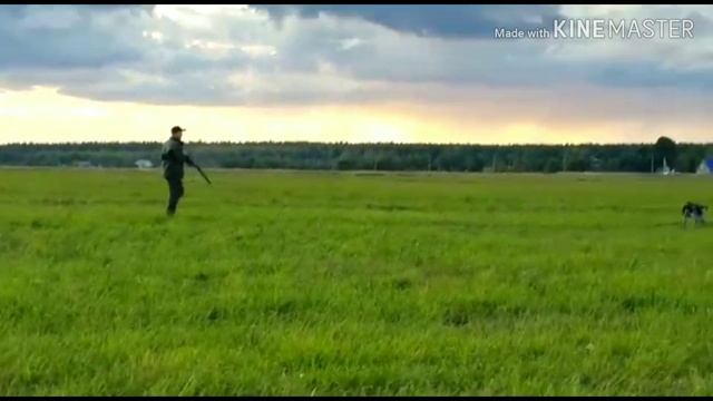 Охота на куропатку смотреть онлайн
