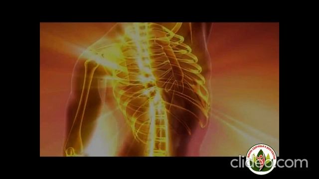 ЛЕЧЕБНАЯ МУЗЫКА ИСЦЕЛЕНИЯ ПОЗВОНОЧНИКА, ГРЫЖ, ПРОТРУЗИЙ И ОСТЕОХОНДРОЗА. ОМОЛОЖЕНИЕ ОРГАНИЗМА. смотреть онлайн