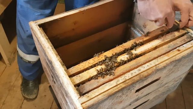 Переселяем семью в другой улей . 9.03.2018 смотреть онлайн