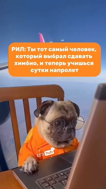 Учеба сутки напролет #shorts #огэ #биология #биологияогэ #огэ2024 #shorts #рек смотреть онлайн