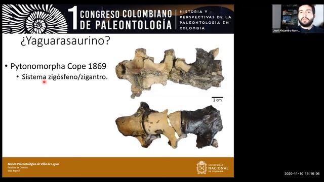 Nuevo registro de mosasaurio yaguarasaurino encontrado en rocas del Cretácico Superior de Ortega смотреть онлайн