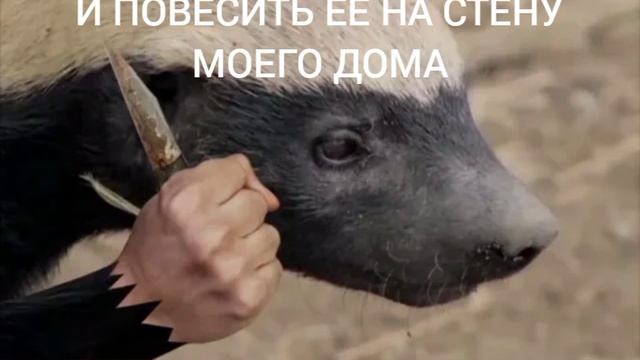 КОРОТКОМЕТРАЖНЫЙ СЕРИАЛ МЕДОЕДУ ПО... 12 СЕРИЯ