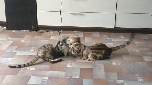 13 апреля 2024 г. смотреть онлайн