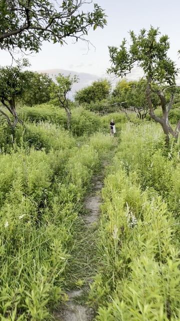 Дорога на пляж