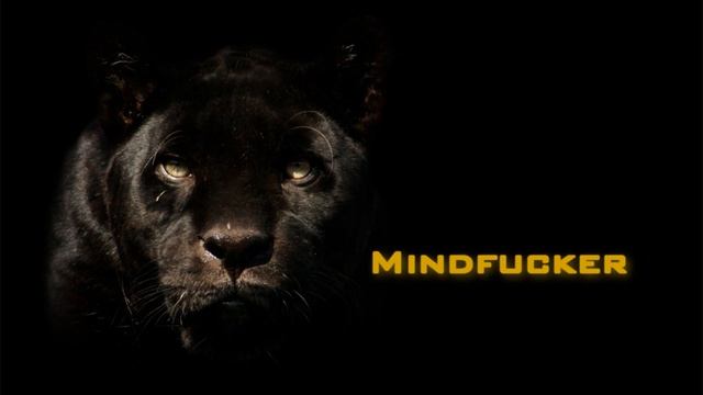 Cenum - Panther [HD] смотреть онлайн