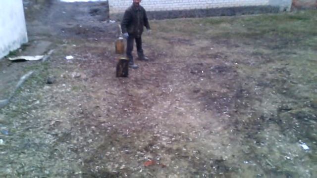 Мышь на воротах смотреть онлайн
