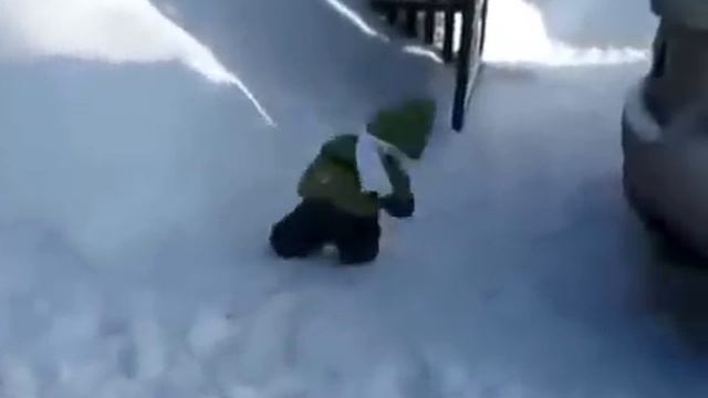 Обезьяна и снег смотреть онлайн