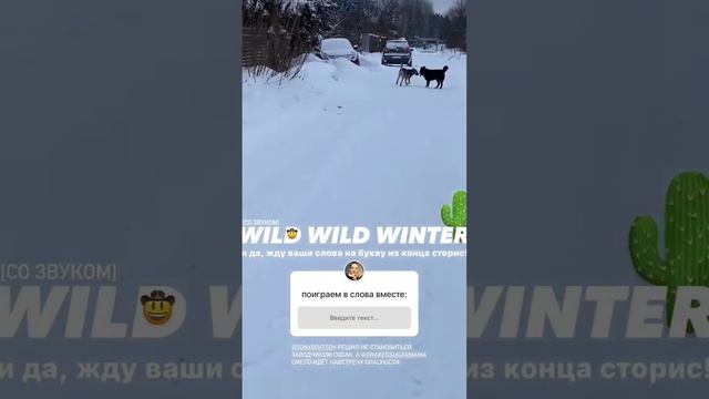 Ульяна Петрухина (Instagram stories от 23.01.22) смотреть онлайн
