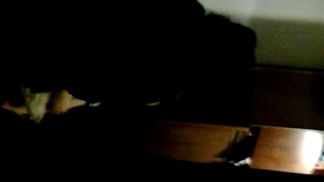 Сучка смотреть онлайн