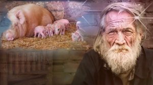 Отпели в деревне гармони