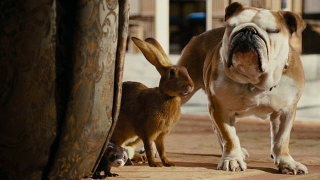 Гарфилд 2_ История двух кошечек_720