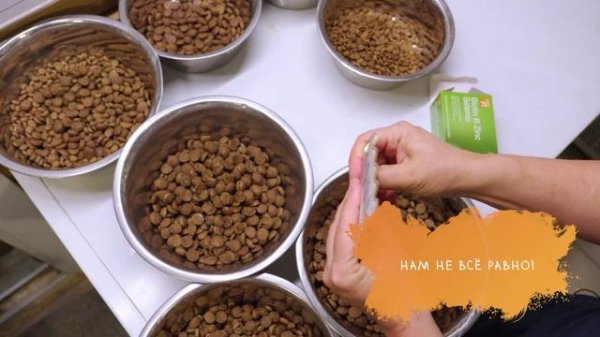 Видеовизитка питомника Juoll