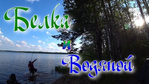 Белка и Водяной ...