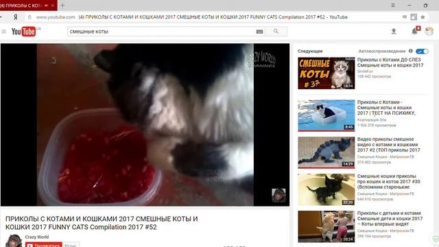 4 ПРИКОЛЫ С КОТАМИ И КОШКАМИ 2017 СМЕШНЫЕ КОТЫ И КОШКИ 2017 FUNNY CATS Compilation 2017 #52 YouTu смотреть онлайн