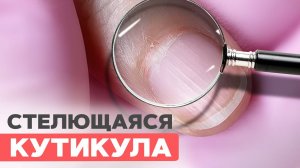 САМАЯ сложная кутикула для мастера | СТЕЛЮЩАЯСЯ кутикула