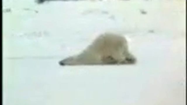 Прикол надо смотреть смотреть онлайн