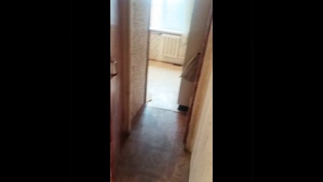 InShot_20250213_175247868.mp4 смотреть онлайн