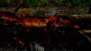 Звуки дождя и костра для крепкого сна