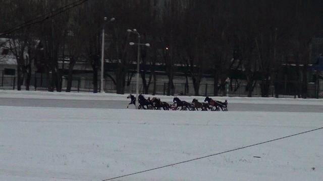 Московский ипподром. Бега. 28.01.18. Заезд 9(49) смотреть онлайн
