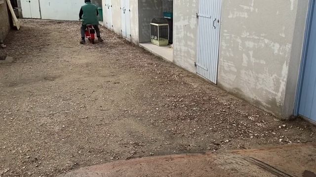 solex micron cyclos volksben смотреть онлайн