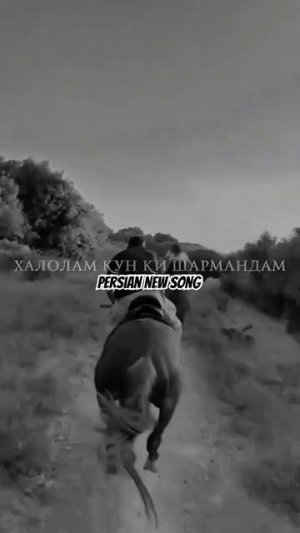 #2024 #badakhshon #iran #persian #pomir #samarqand #tadjik #tadjikistan #tojikiston #uzb
