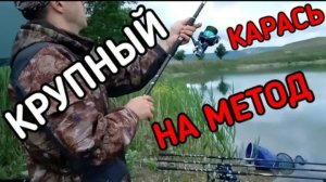 Ловля карася на флет метод. Ловля крупного карася. Рыбалка.