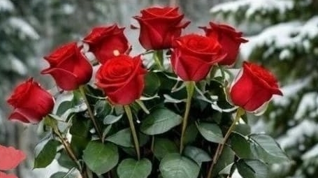 14 февраля. С днем влюблённых.💑 смотреть онлайн