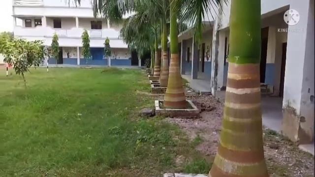 My college 💯📒 Nand Kishore Singh p g college💯💯 📒🏫🏫 Naini смотреть онлайн