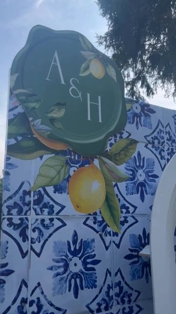 Итальянская свадьба. Выездная регистрация смотреть онлайн