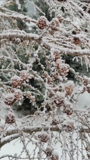 13 февраля 2025г.