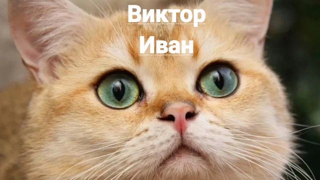 Именины 13 февраля