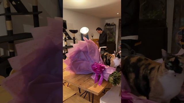 Llegué a mi casa y puse mi ramo de 200 rosas en el florero bote de basura смотреть онлайн