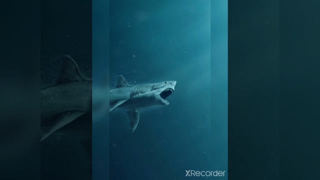 Кретоксерина ! Круче мегалодона ? ПАЛЕОПОДКАСТ смотреть онлайн
