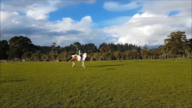 Riding Andy] Thunder [ смотреть онлайн