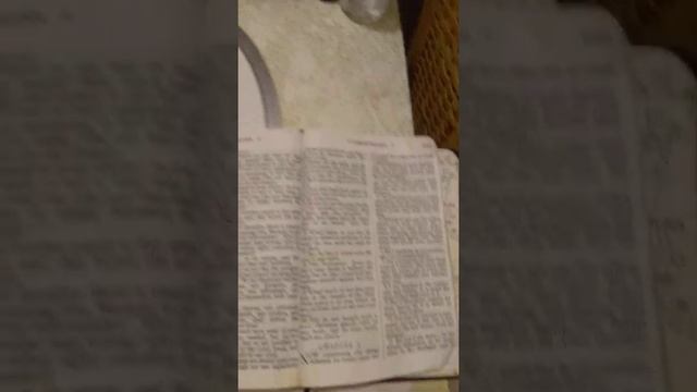 People Rather To Obey The Satanic Government & Not God! смотреть онлайн