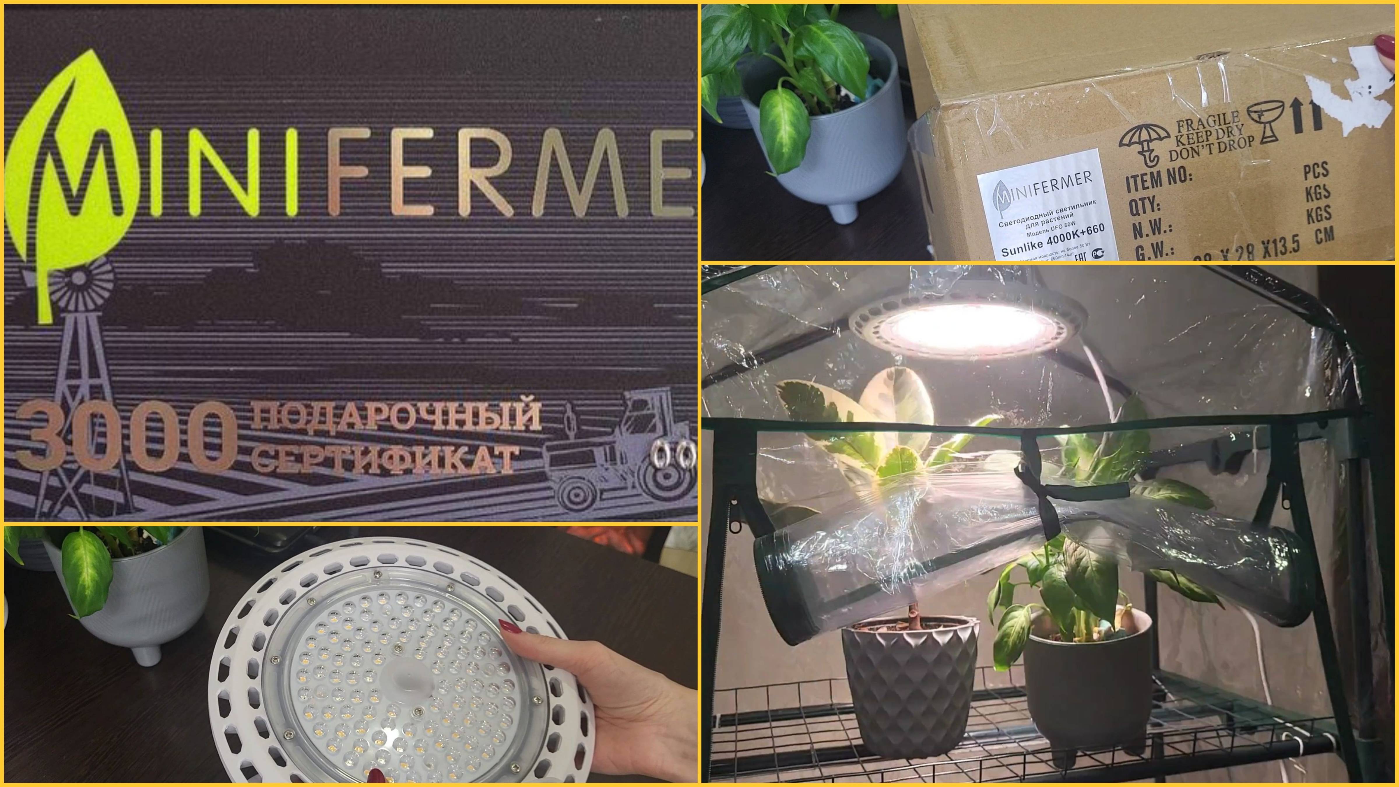 НАШЛА ОТЛИЧНЫЕ ФИТОЛАМПЫ!ОБЗОР смотреть онлайн