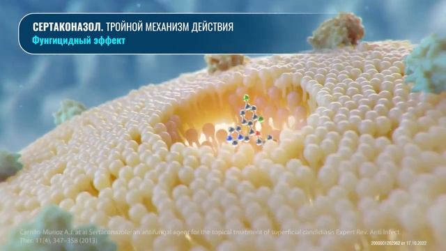 Сертаконазол. Залаин свечи. Механизм действия. смотреть онлайн