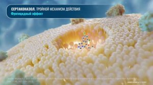 Сертаконазол. Залаин свечи. Механизм действия.